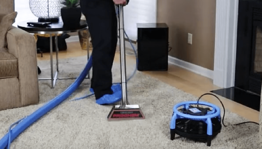 Carpet Cleaning, Tile and Grout Cleaning